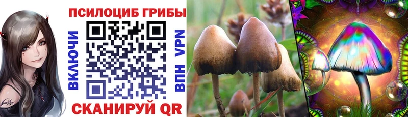 Купить закладки  Мамадыш  Галлюциногенные грибы Cubensis 